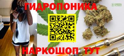 стафф Коммунар